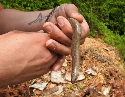 Aktuelles Bund Naturschutz In Bayern E V