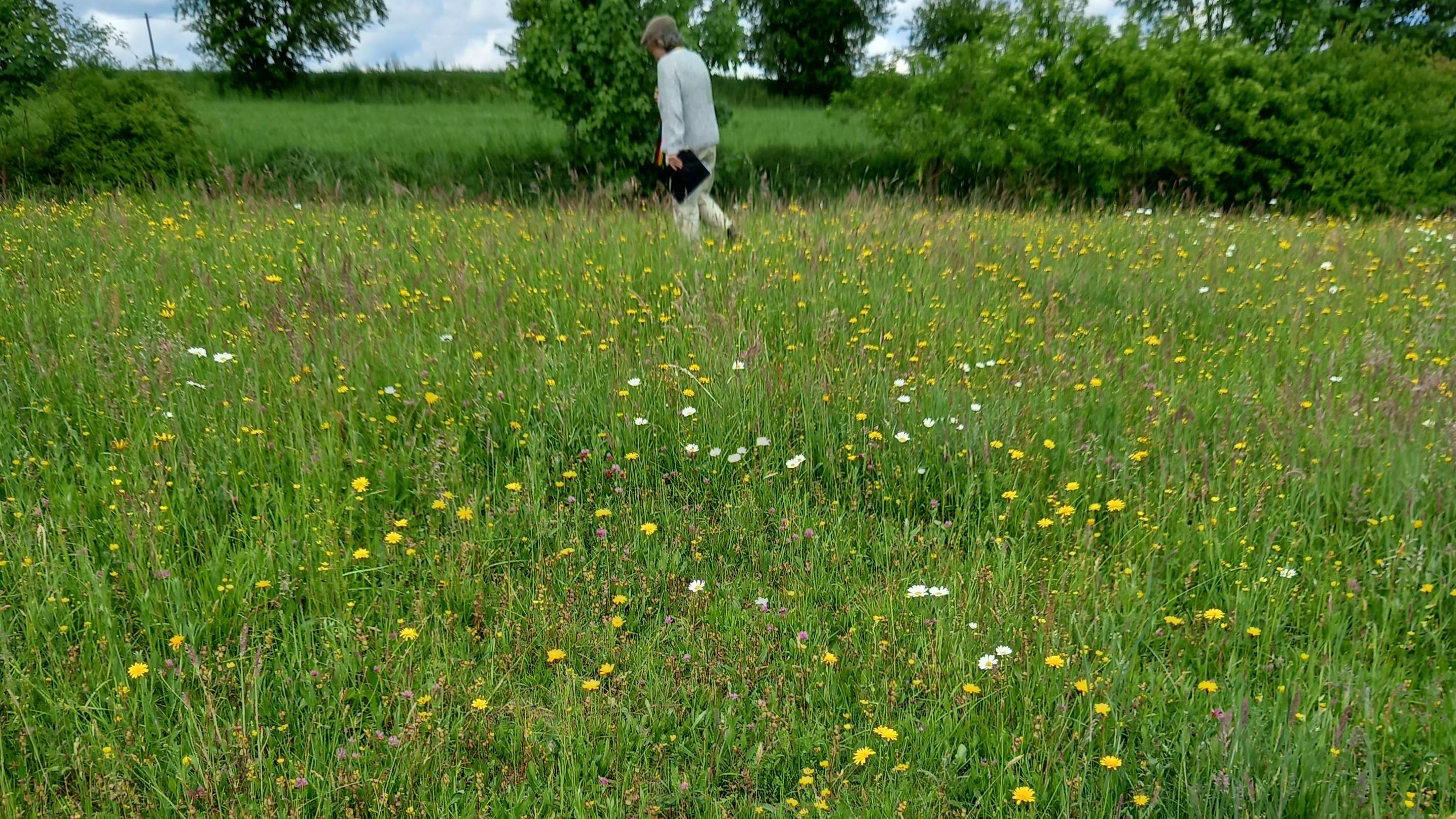 Dachsberg 2026-05-15